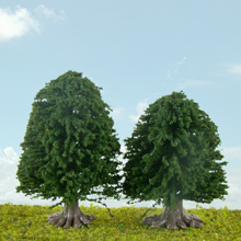 model trees